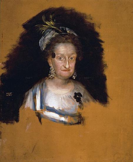 Francisco de Goya La infanta Josefa oil painting image
